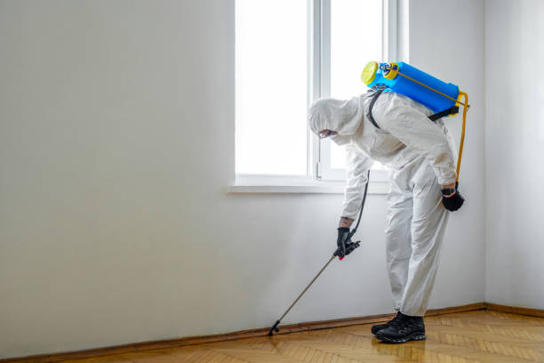 Professional Pest control in Red Bay, AL